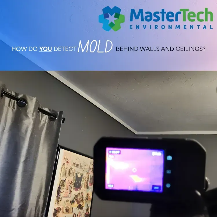 Mold inspection Myrtle Beach