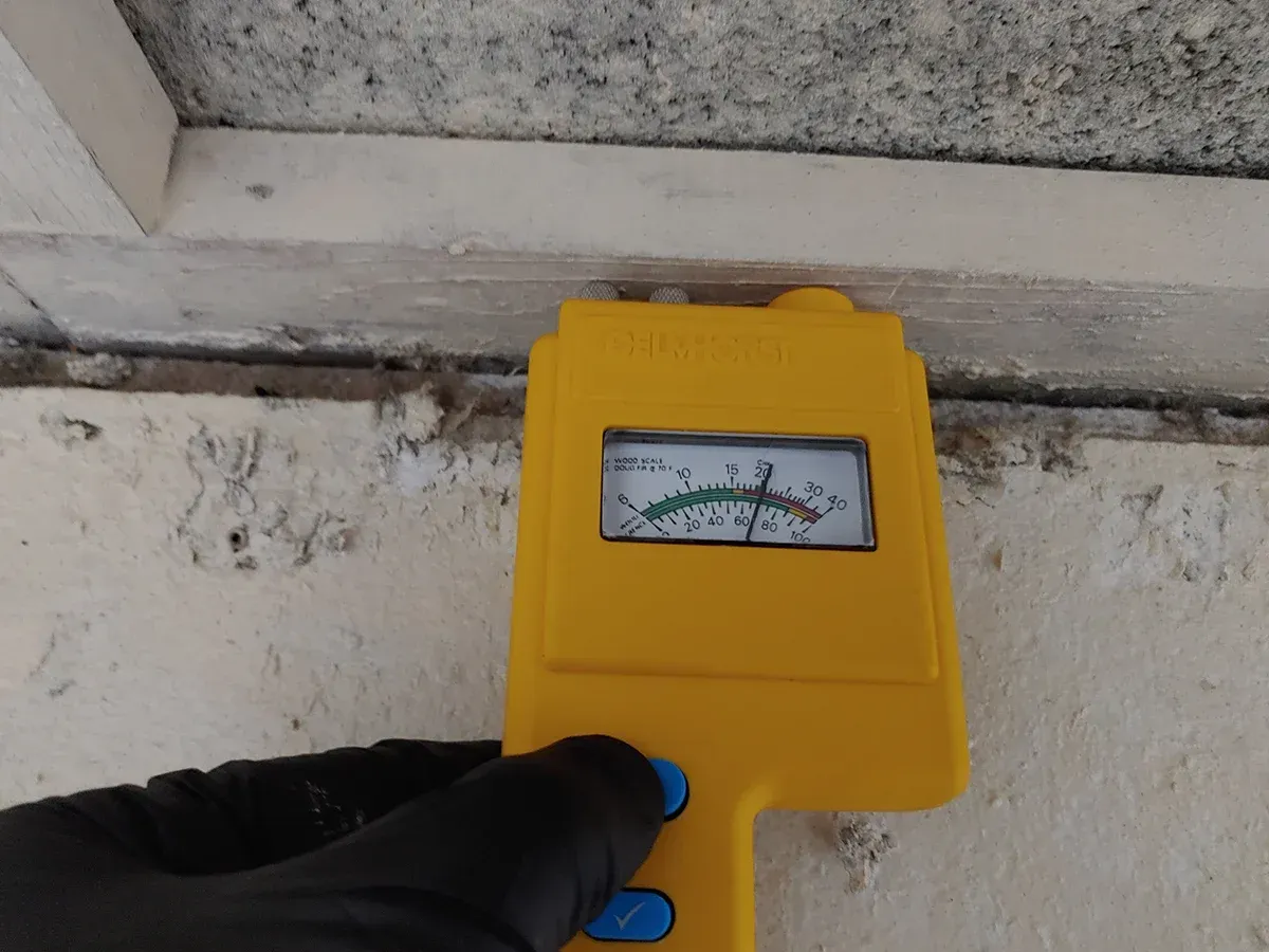 Mold Remediation in Myrtle Beach