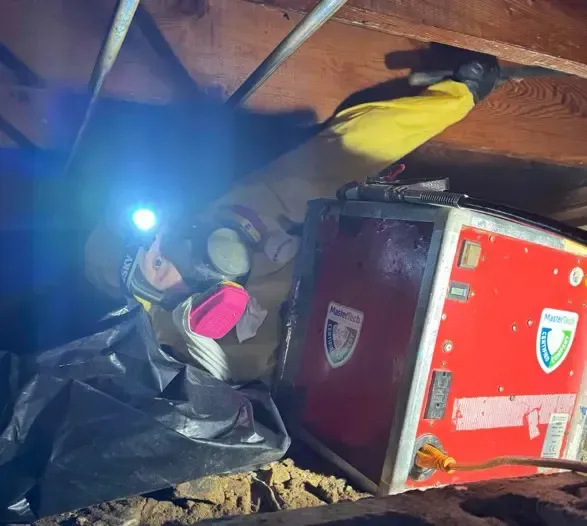 Mold Remediation in Myrtle Beach