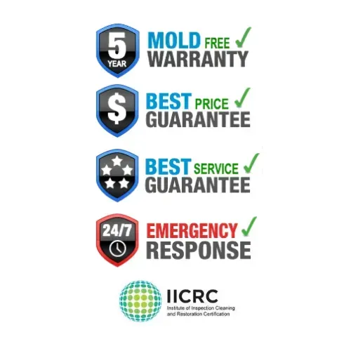 Mold remediation Myrtle Beach 2