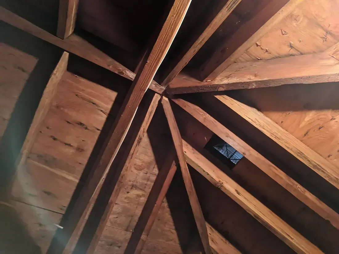 Mold remediation myrtle beach