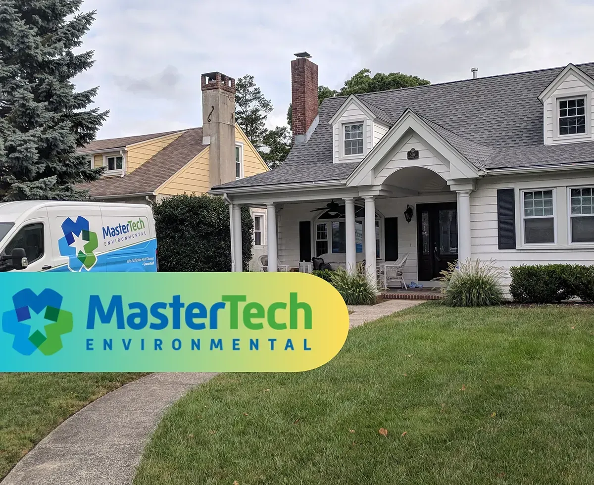 Mold remediation Myrtle Beach