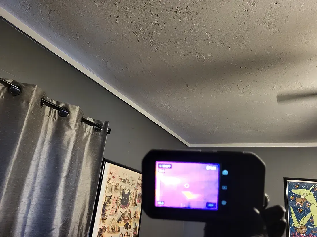 Mold remediation Pawleys Island SC