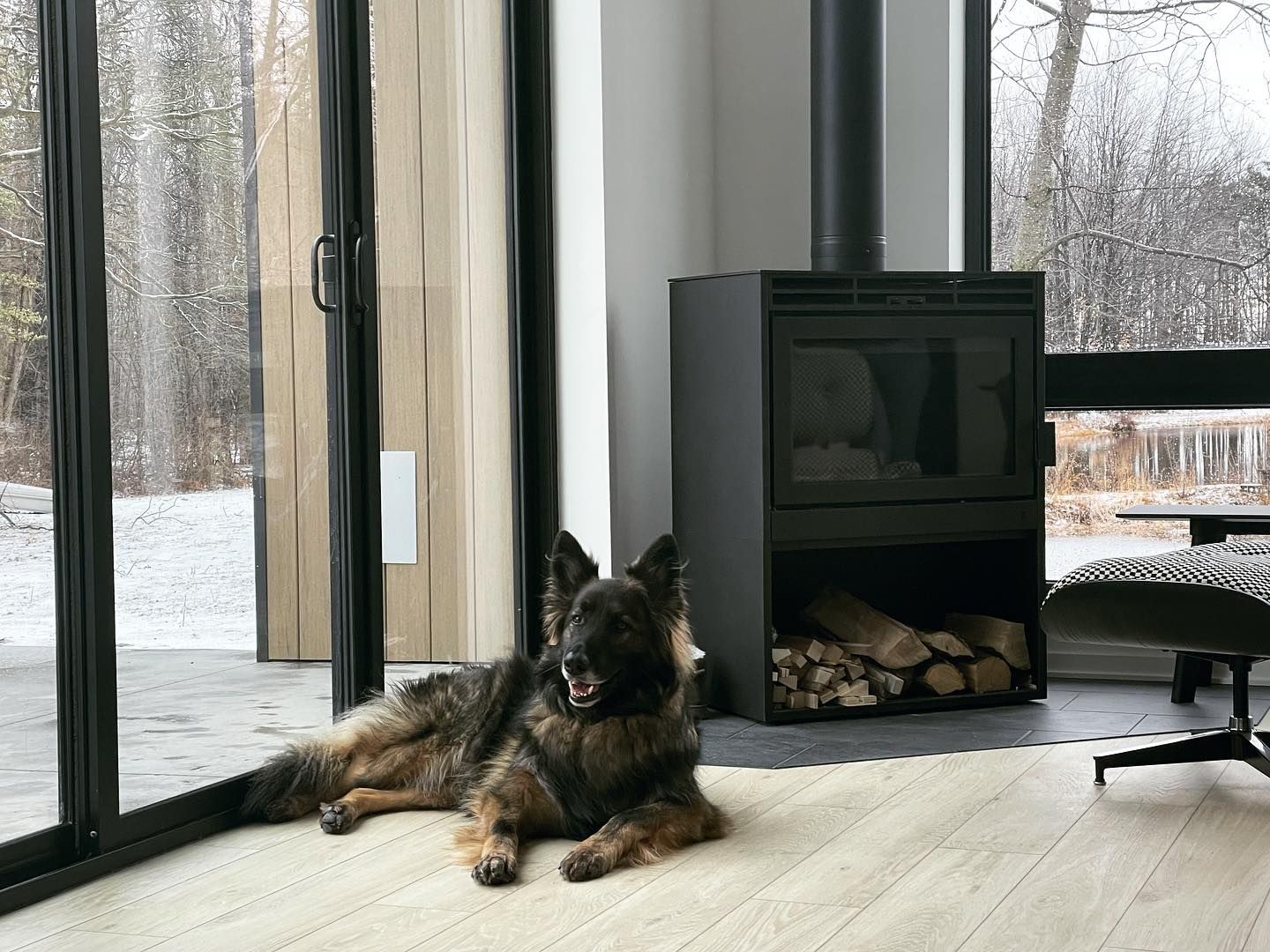 A german shepherd dog is laying on the floor in a living room next to a fireplace.