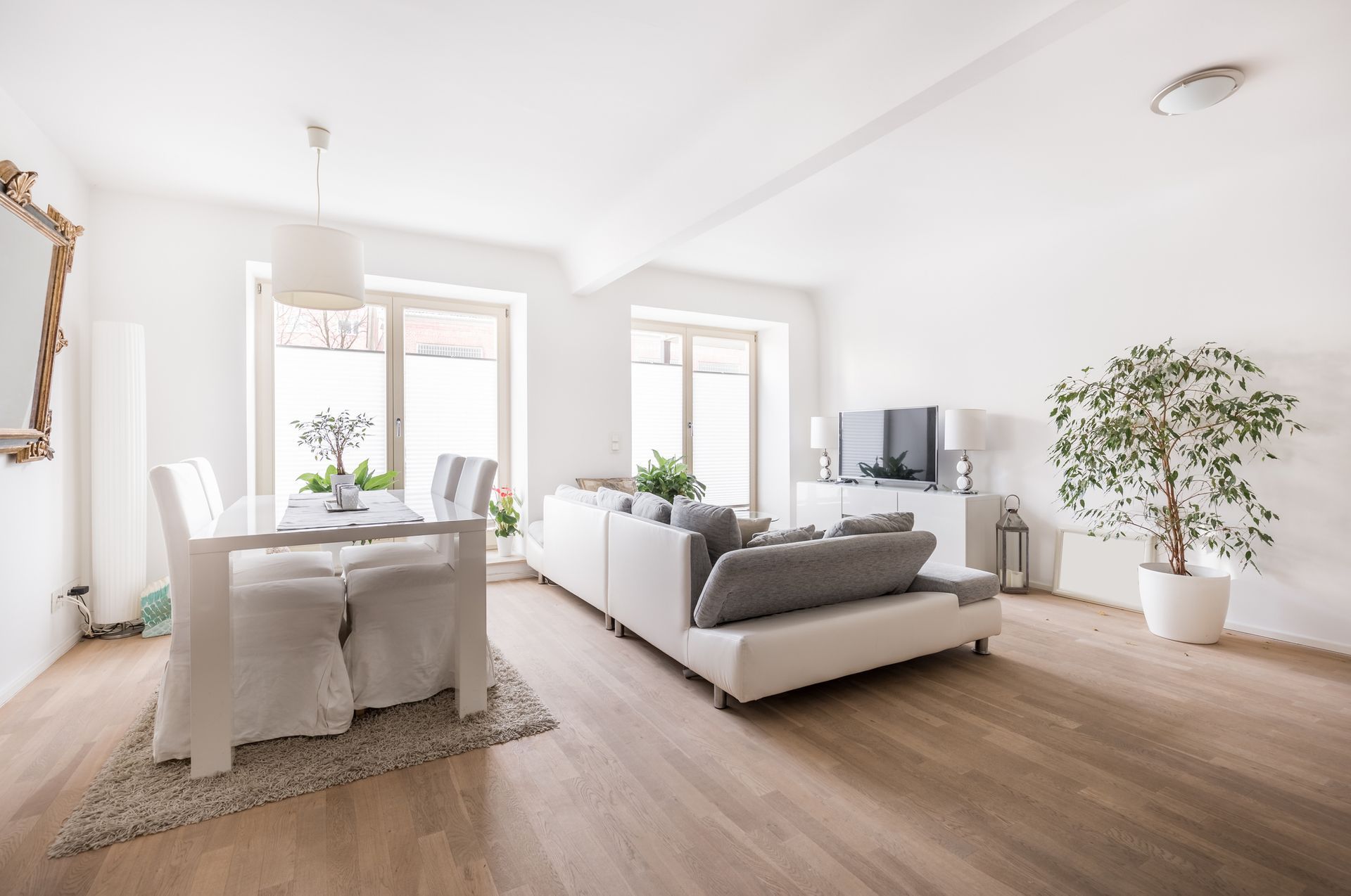 Bright, modern living room with a white sofa, dining table, and large potted plant. Bright, modern living room with a white sofa, dining table, and large potted plant.