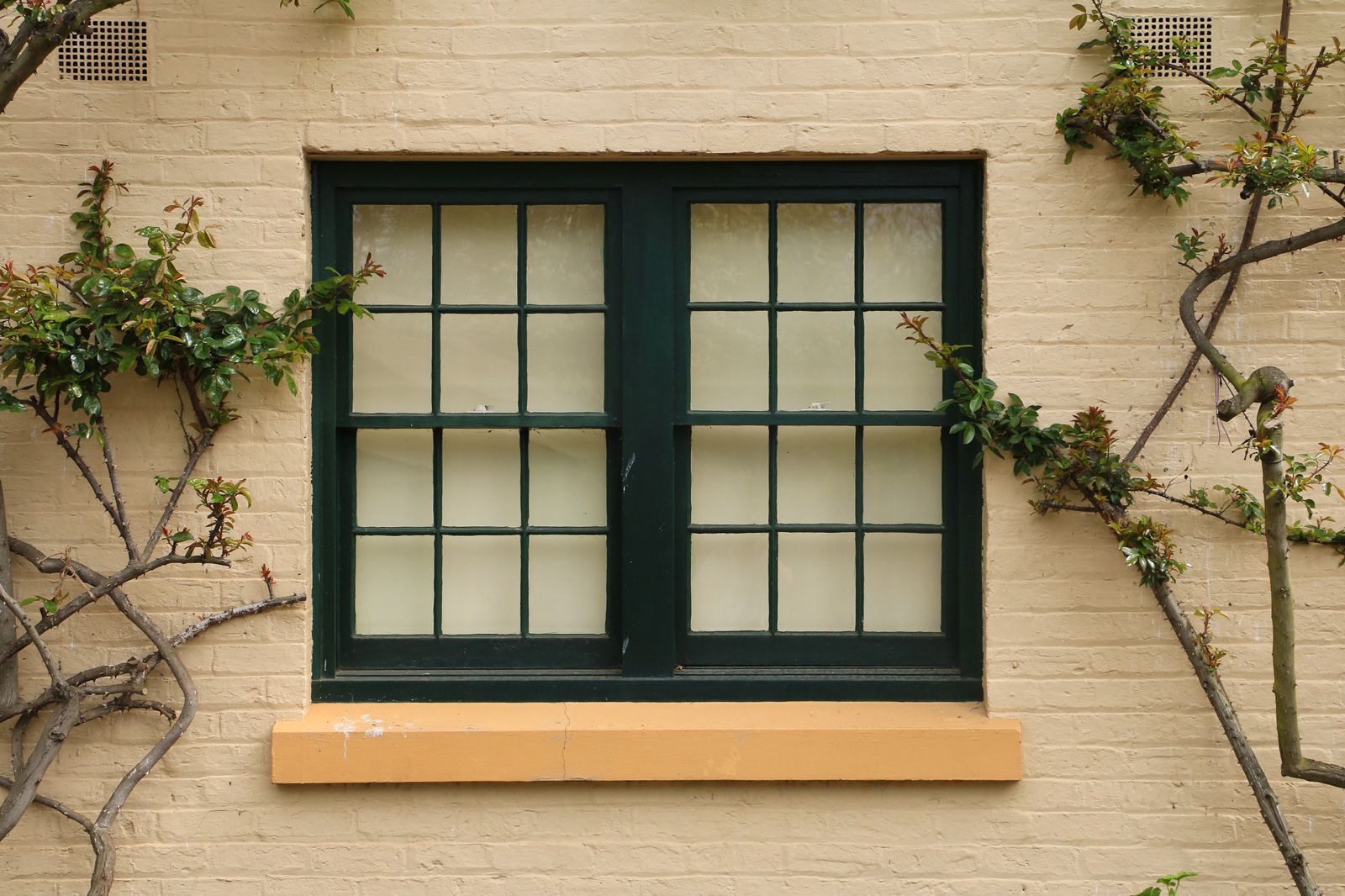 Dark green paneled window on a light brick wall, with climbing vines framing it. Dark green paneled window on a light brick wall, with climbing vines framing it.