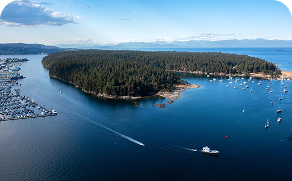 An aerial view of a small island in the middle of a body of water surrounded by boats.