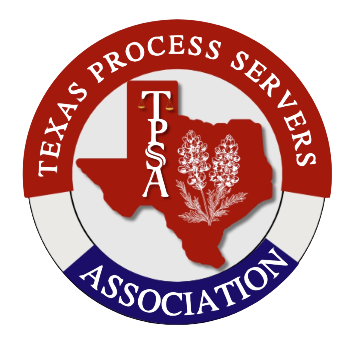 A logo for tpsa with a texas flag in the background.