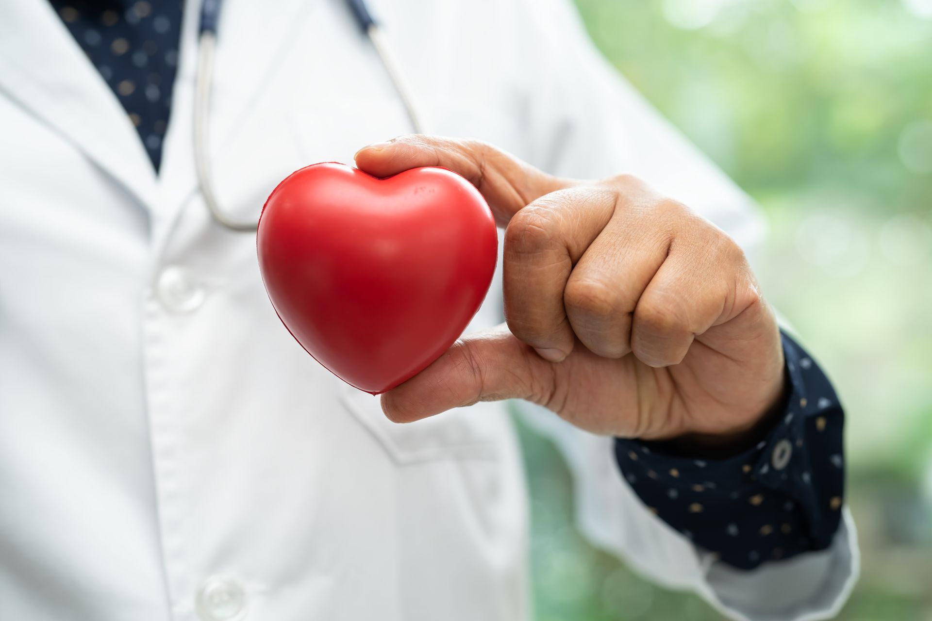 A Doctor holding a red heart model, symbolizing heart health. 