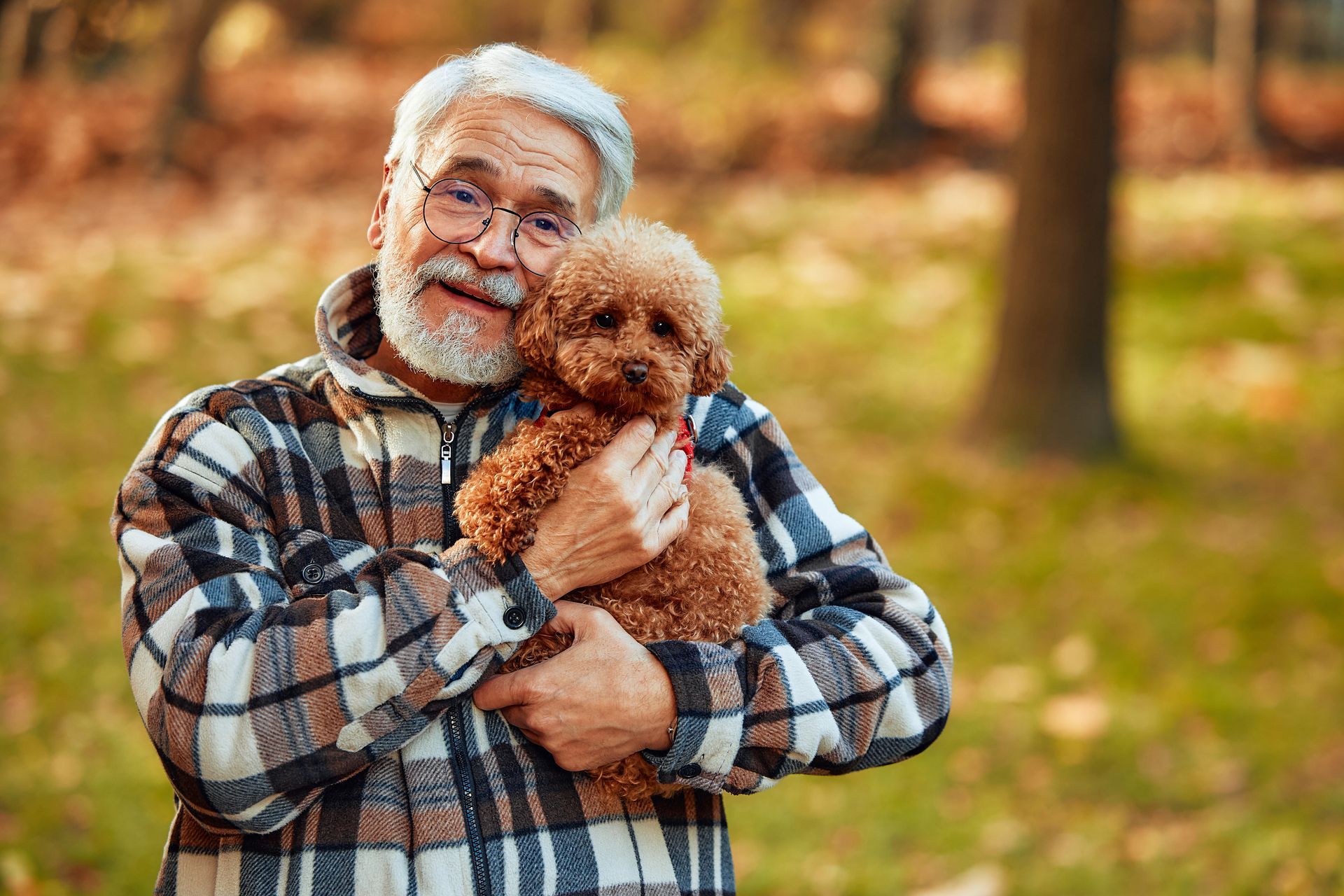 Pawsitive Impact: The Benefits of Animal Companions in Later Life