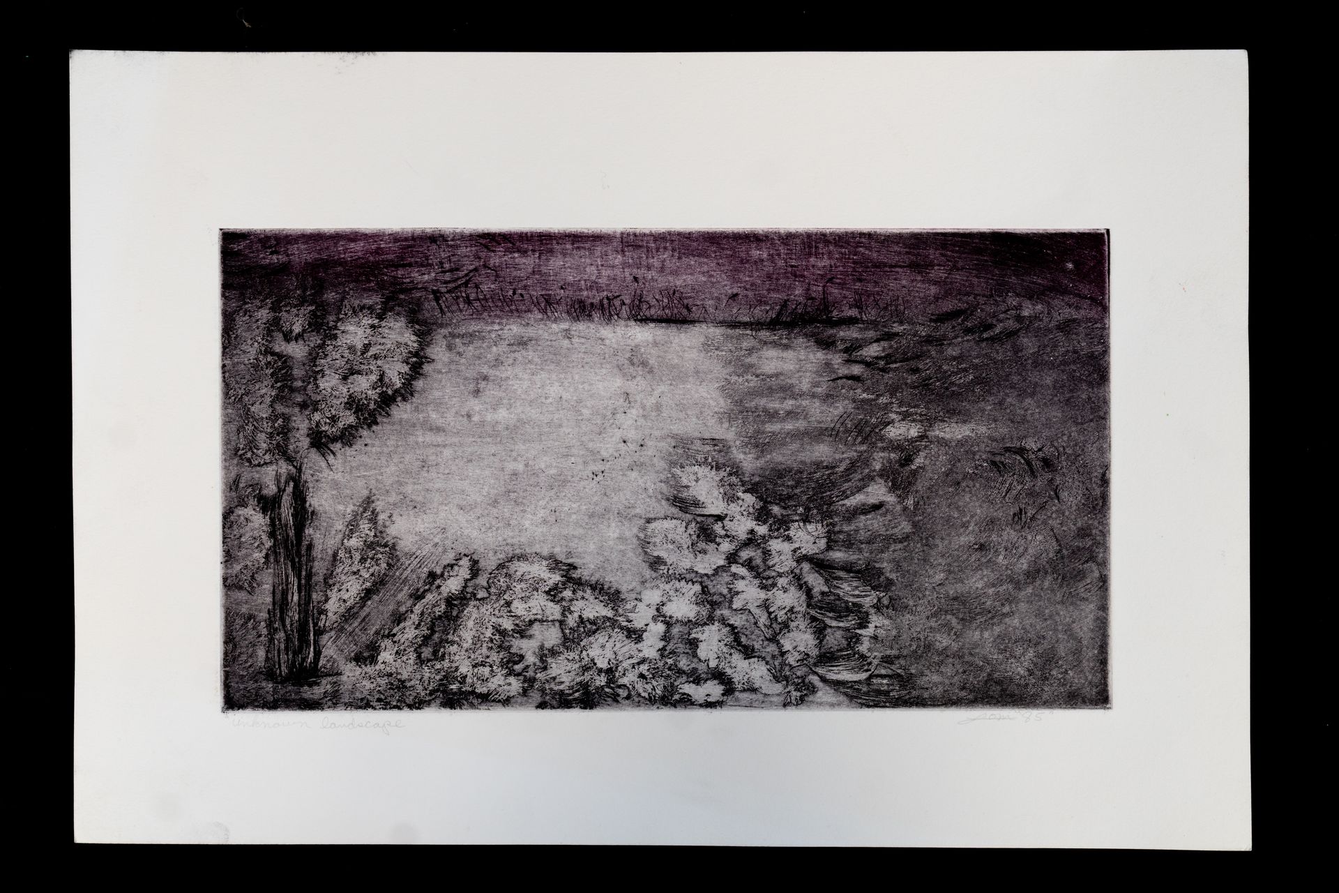 Etching of a landscape with a dark purple sky over water and a cluster of rocks in the foreground.