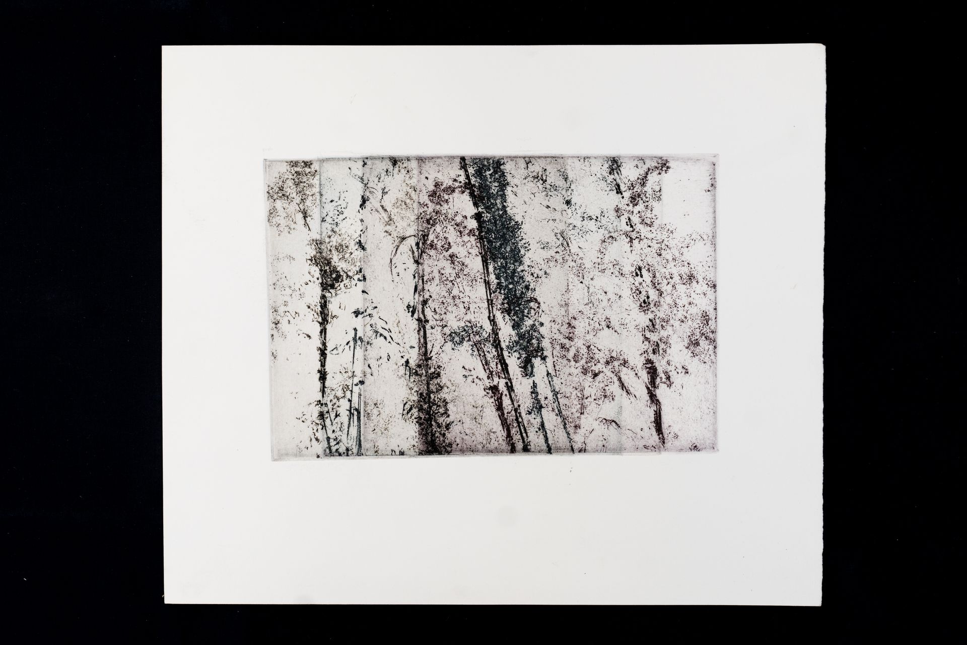 Abstract print of vertical tree trunks with white and black textures.
