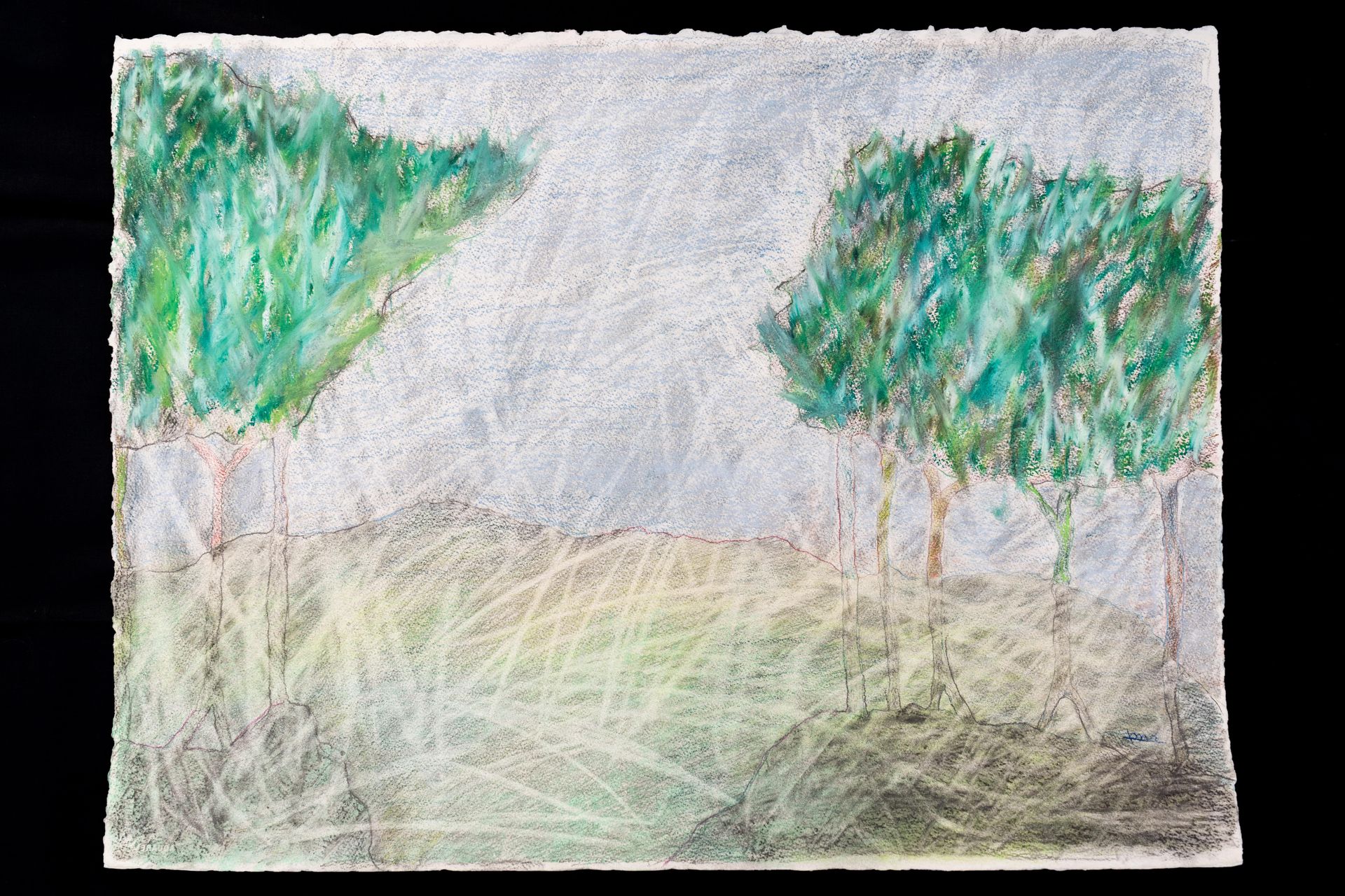 Pastel drawing of two trees and grass under a white sky, done on textured paper.