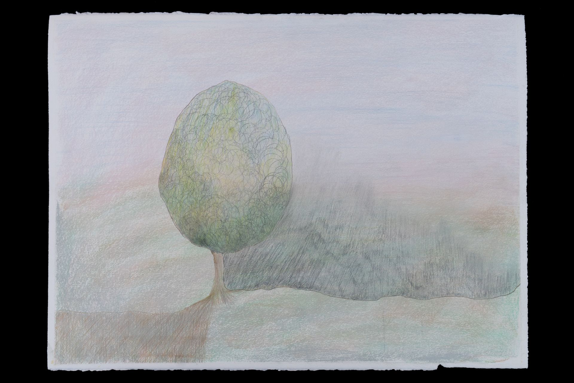 Lone green tree in a misty field, soft colors, pastel hues.