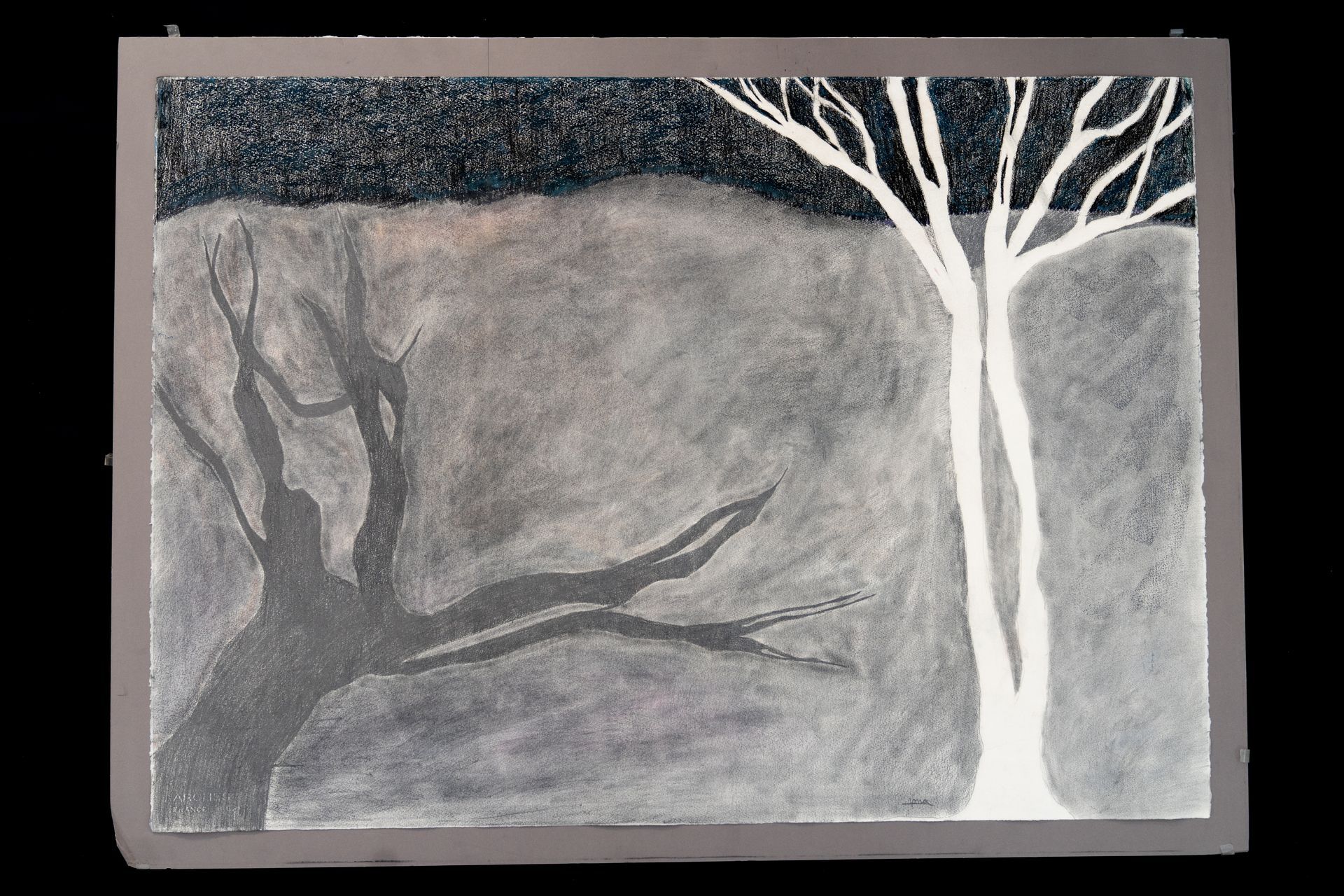 Black and white art of a tree, bright white on the right with a dark shadow tree on the left.