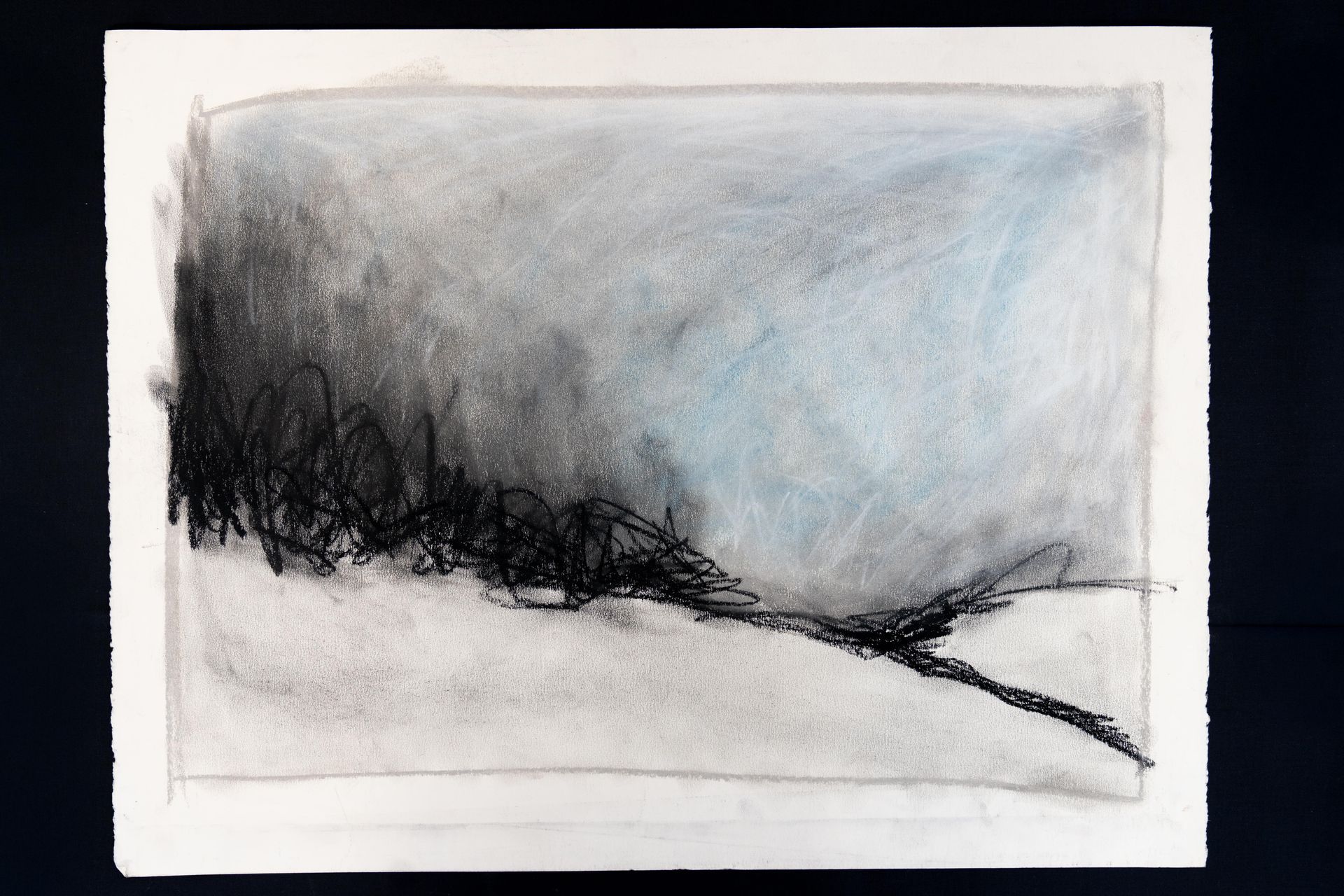 Charcoal drawing of a dark treeline under a light blue and grey sky, with a white foreground.