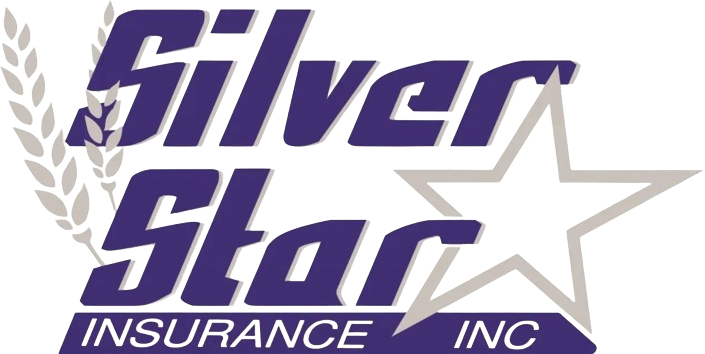 Silver Star Insurance Inc