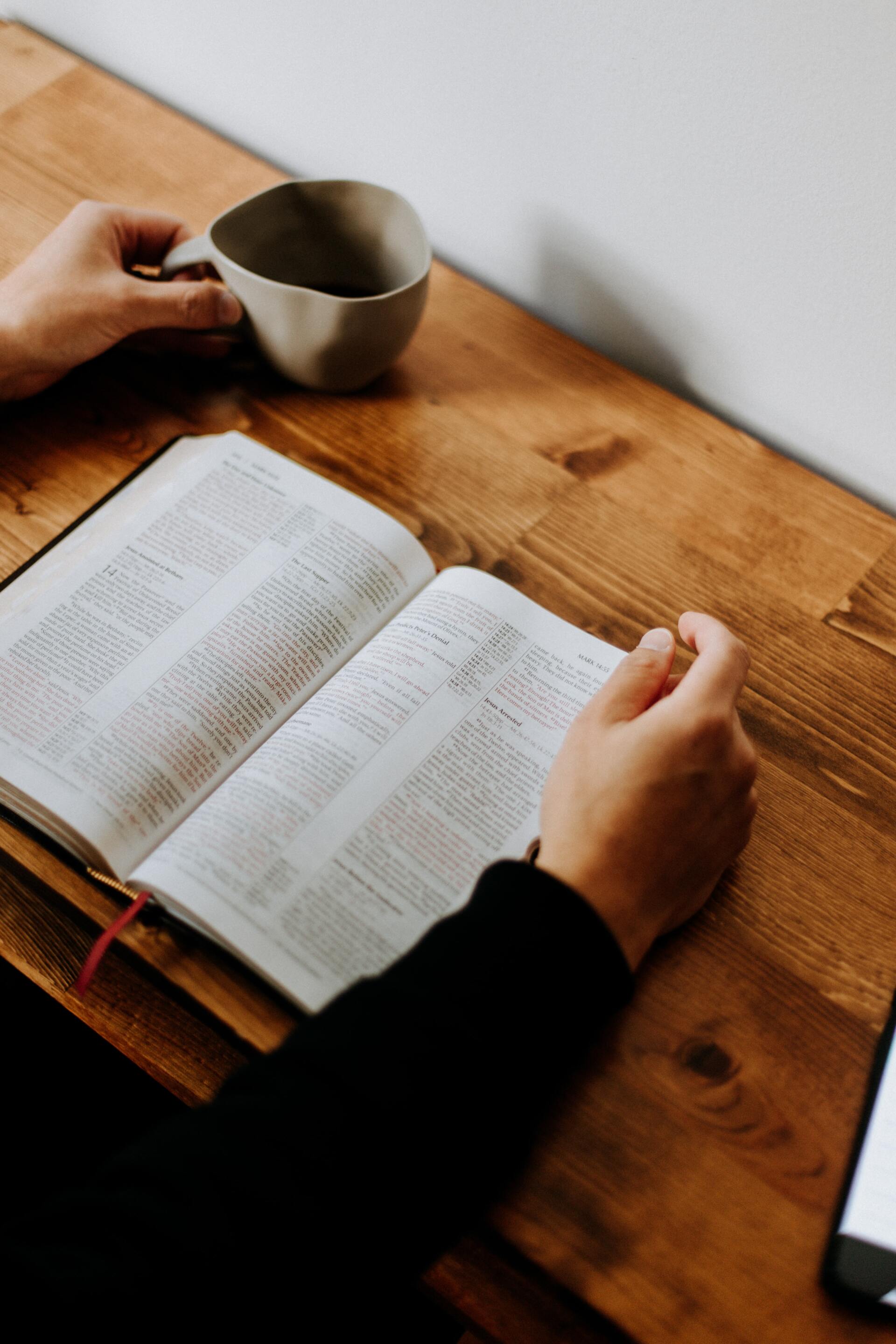 Person reading a Bible
