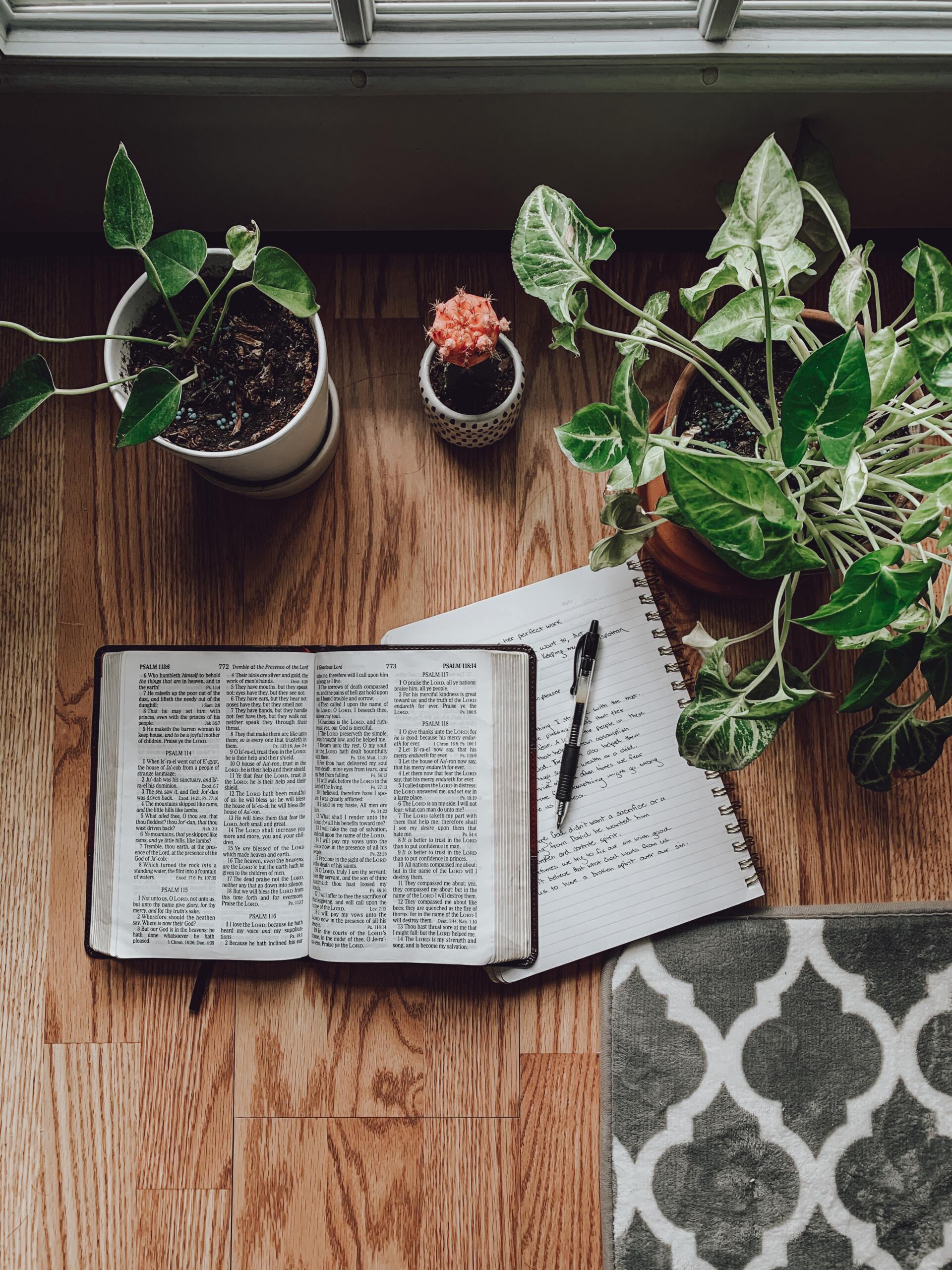 Open Bible and notebook with notes for Bible study, surrounded by plants