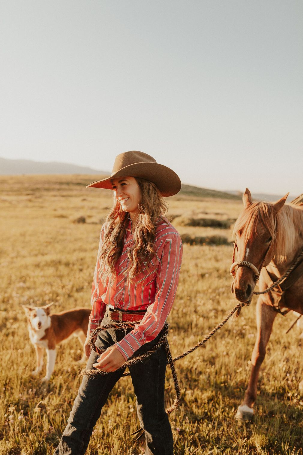 A woman is walking a horse in a field with a dog.