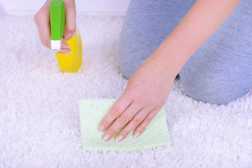 Cleaning a Carpet — Cleaning Services in East Syracuse NY