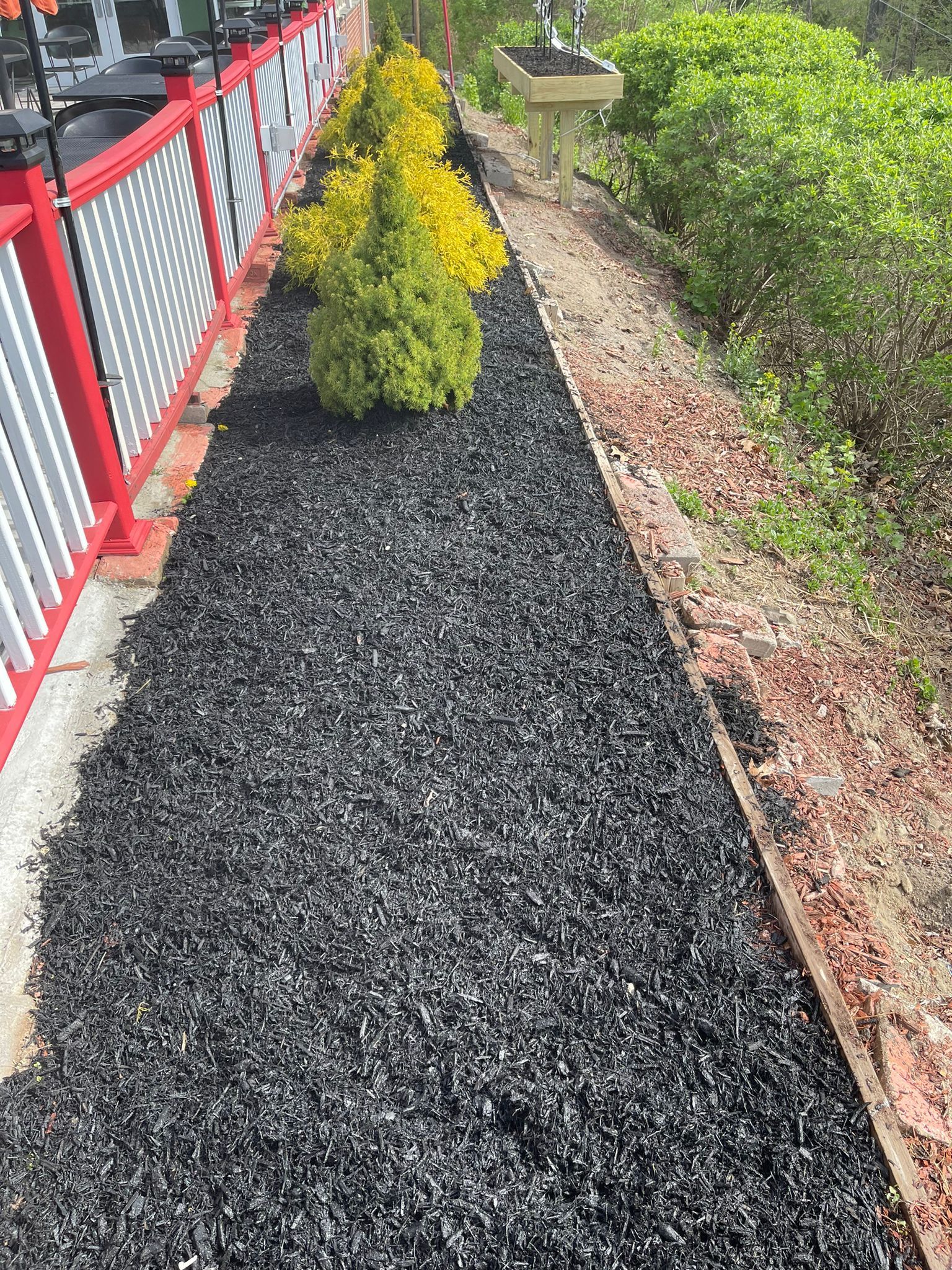 Outdoor Plants | Kingston, NY | Vision CK Construction Inc