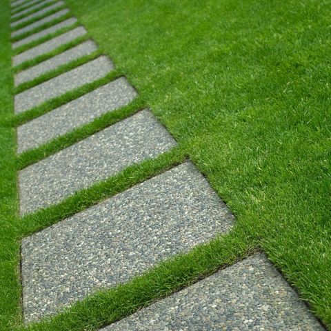 stone walkway through grass