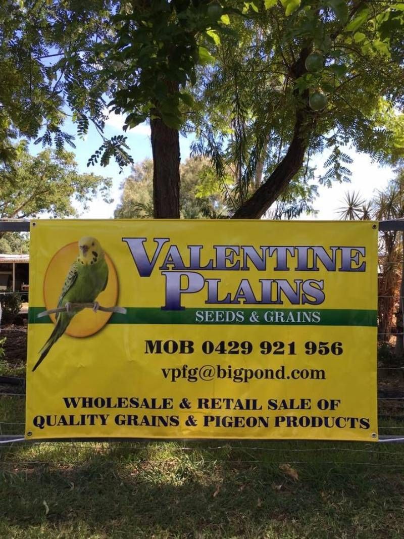 wholesale & retail sale 