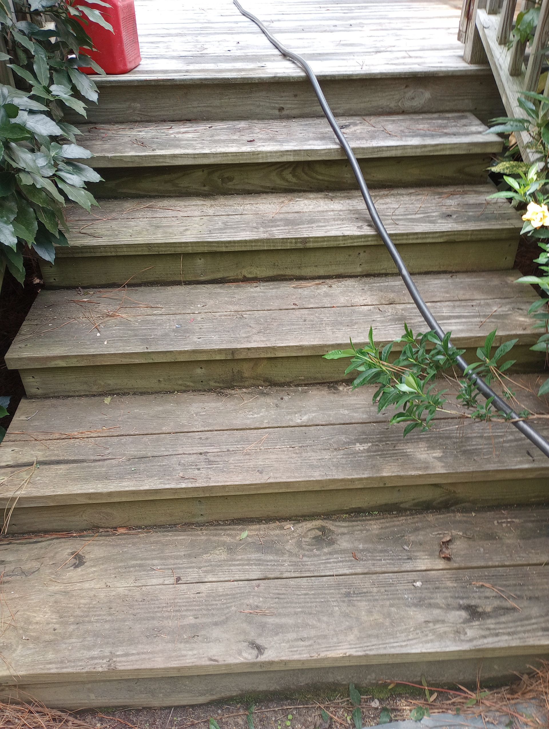 Pressure washing 2 