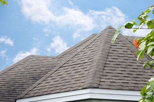 Roof shingles on top of the house