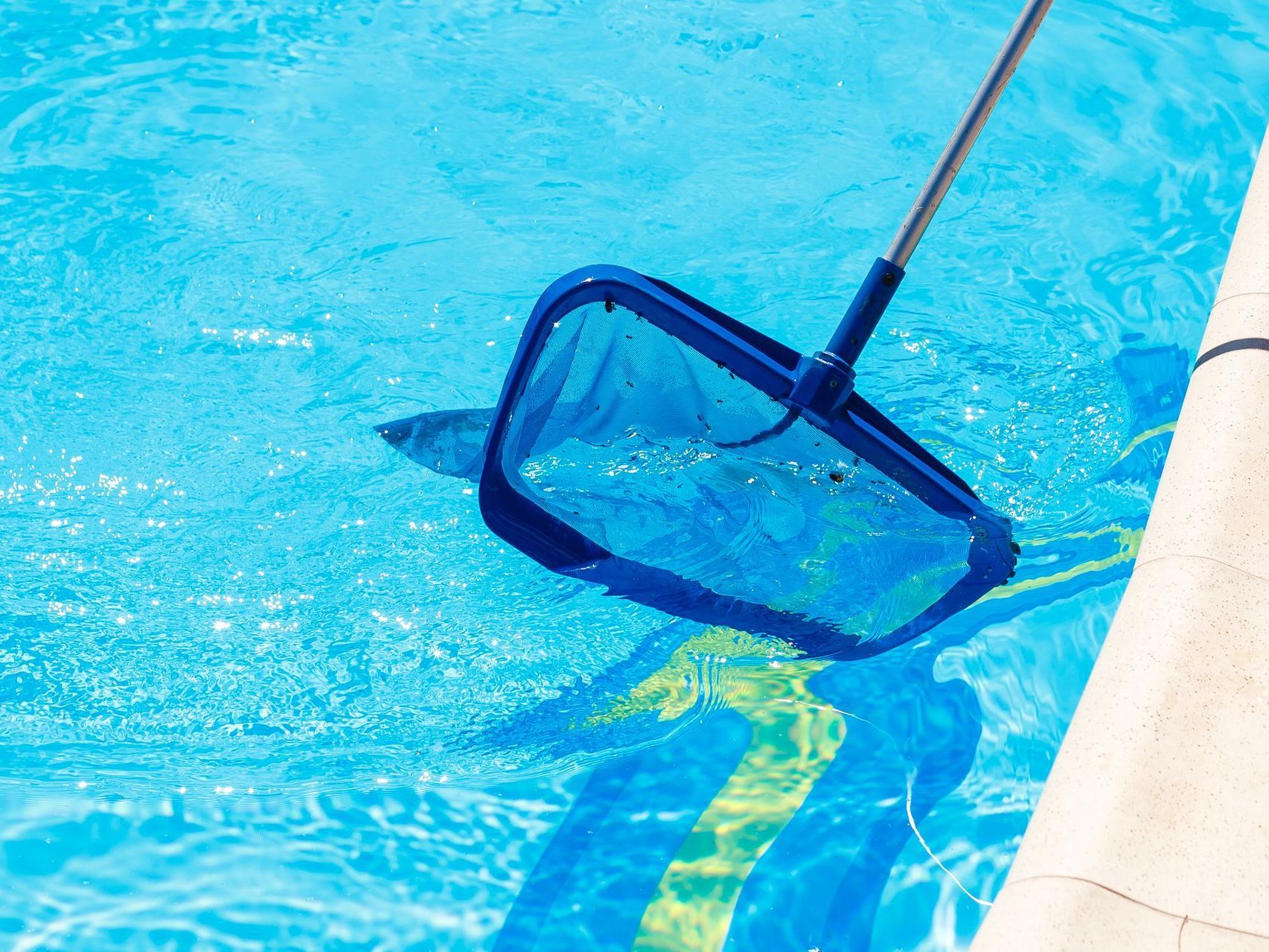 A blue net is being used to clean a swimming pool.