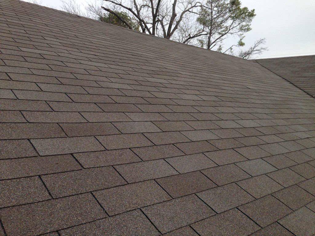 a close up of a roof with a tree in the background