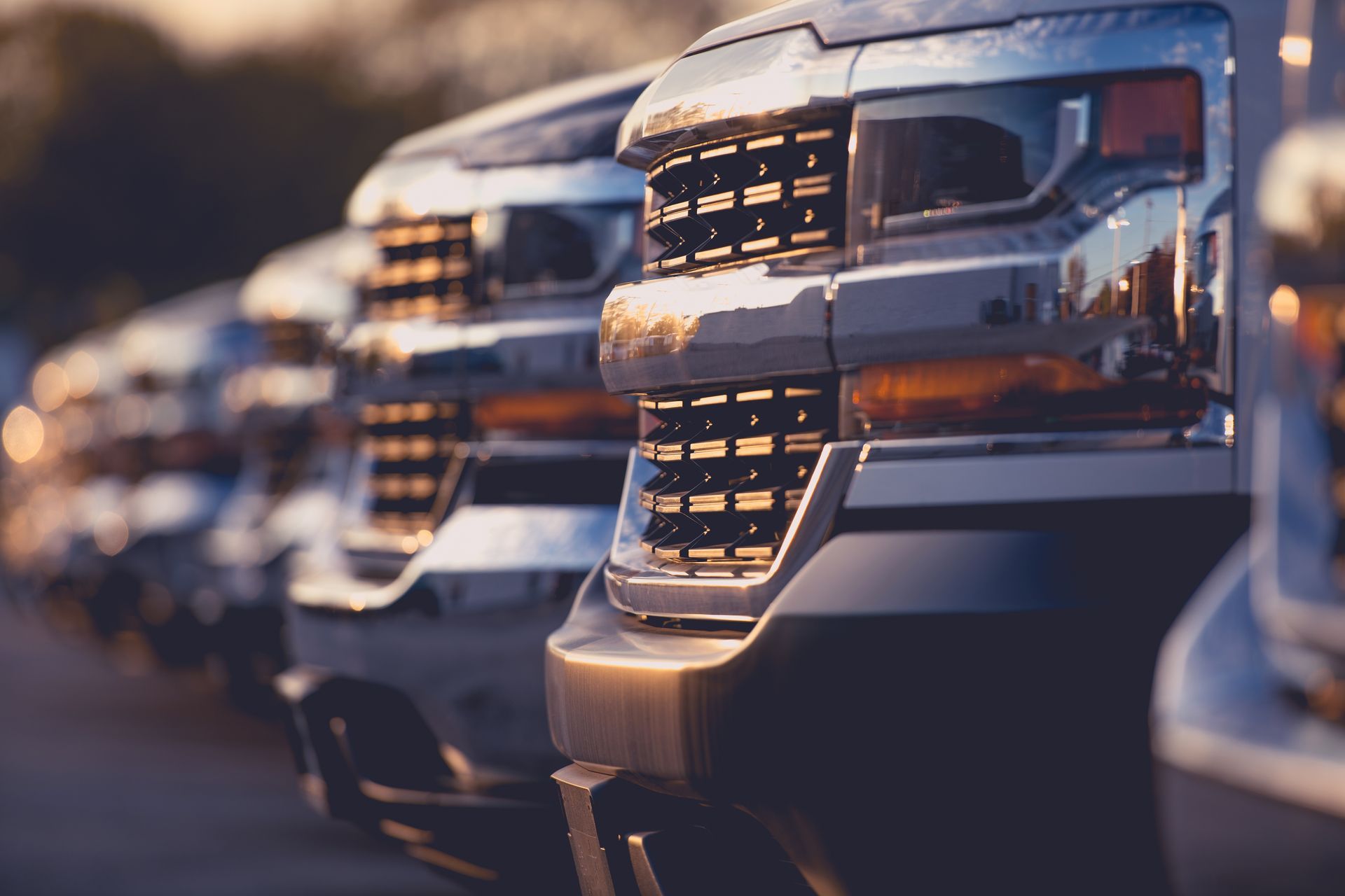A row of identical silver pickup trucks parked in a line, angled toward the camera at sunset.