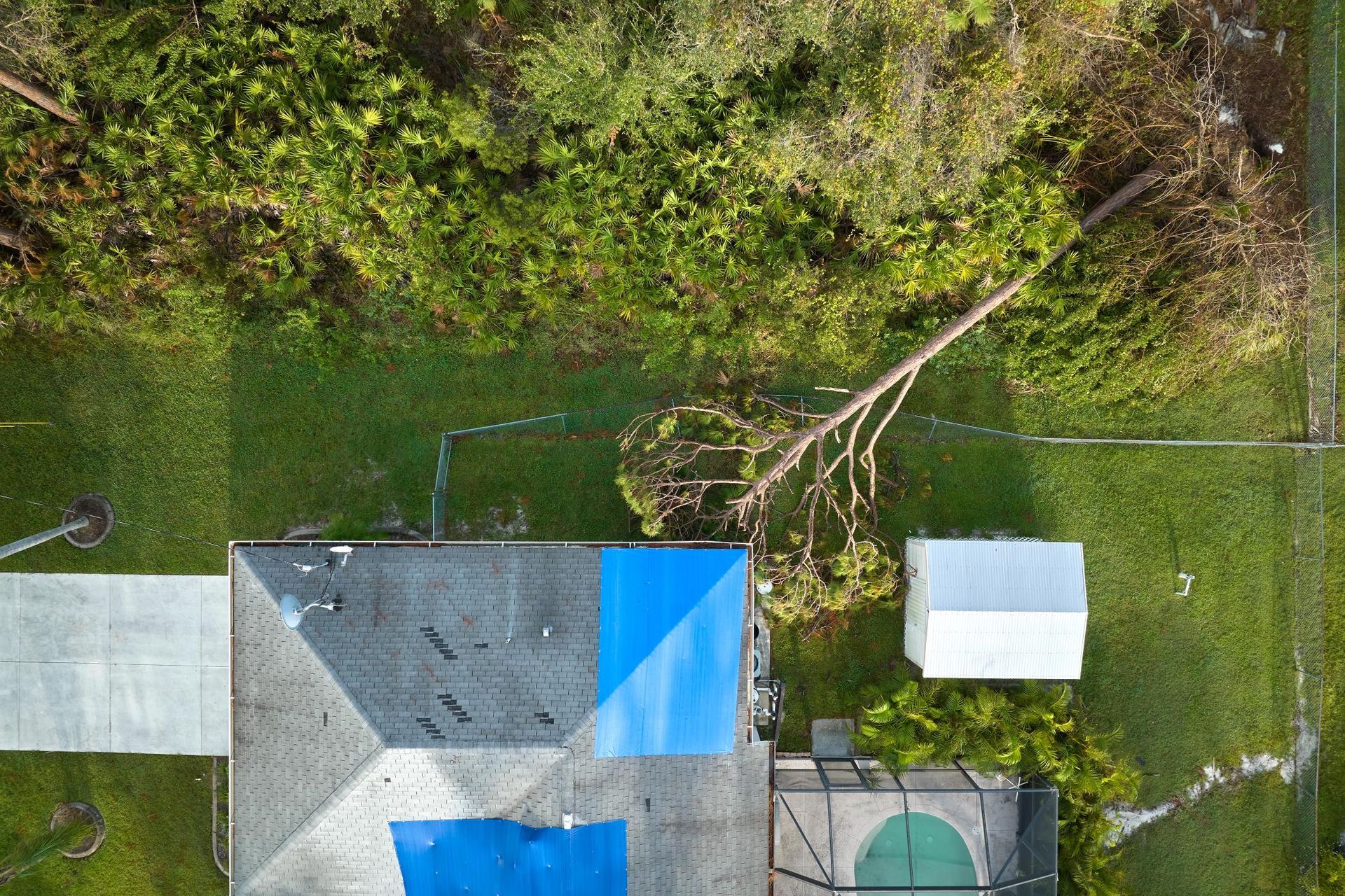 Overhead view of a house with blue tarp on the roof, a fallen tree, green lawn, and a small pool.