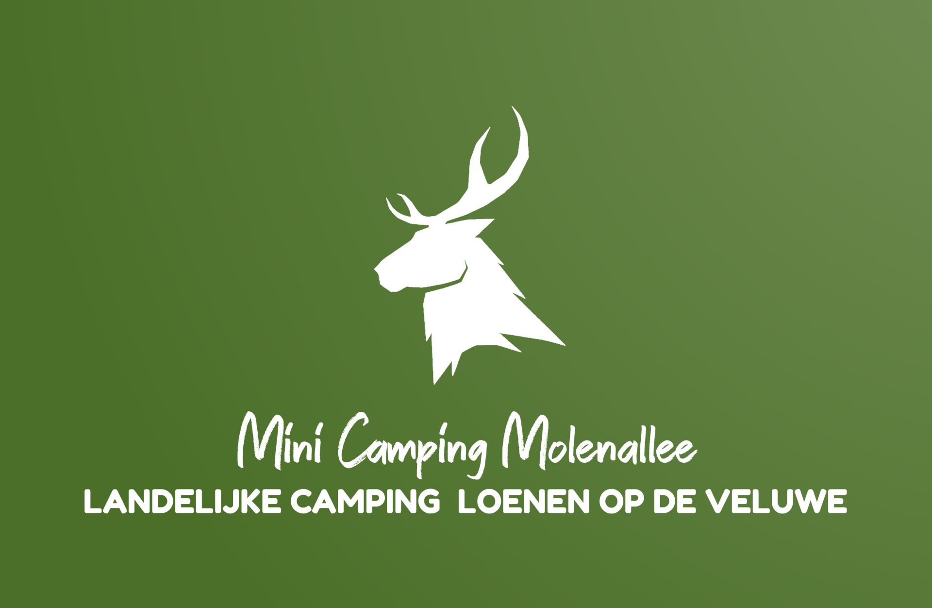 Rustpunt Minicamping Molenallee