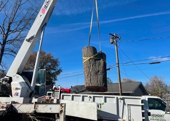 A crane is lifting a large log from the back of a truck.