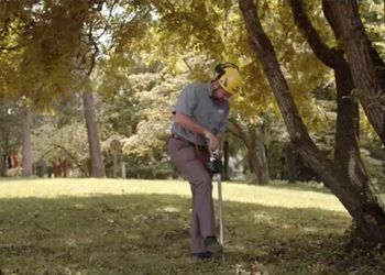 A man is cutting a tree with a lawn mower in a park.