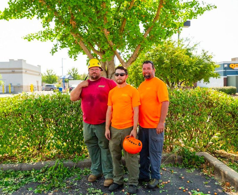 Three men standing in front of a tree wearing orange shirts