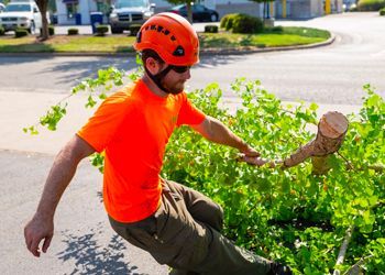 A man wearing a helmet is kneeling down next to a tree branch.