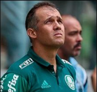 Um homem com uma camisa verde da adidas está olhando para o céu.