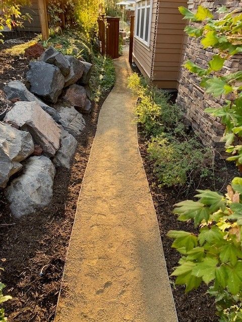A sidewalk leading to a house surrounded by rocks and plants.