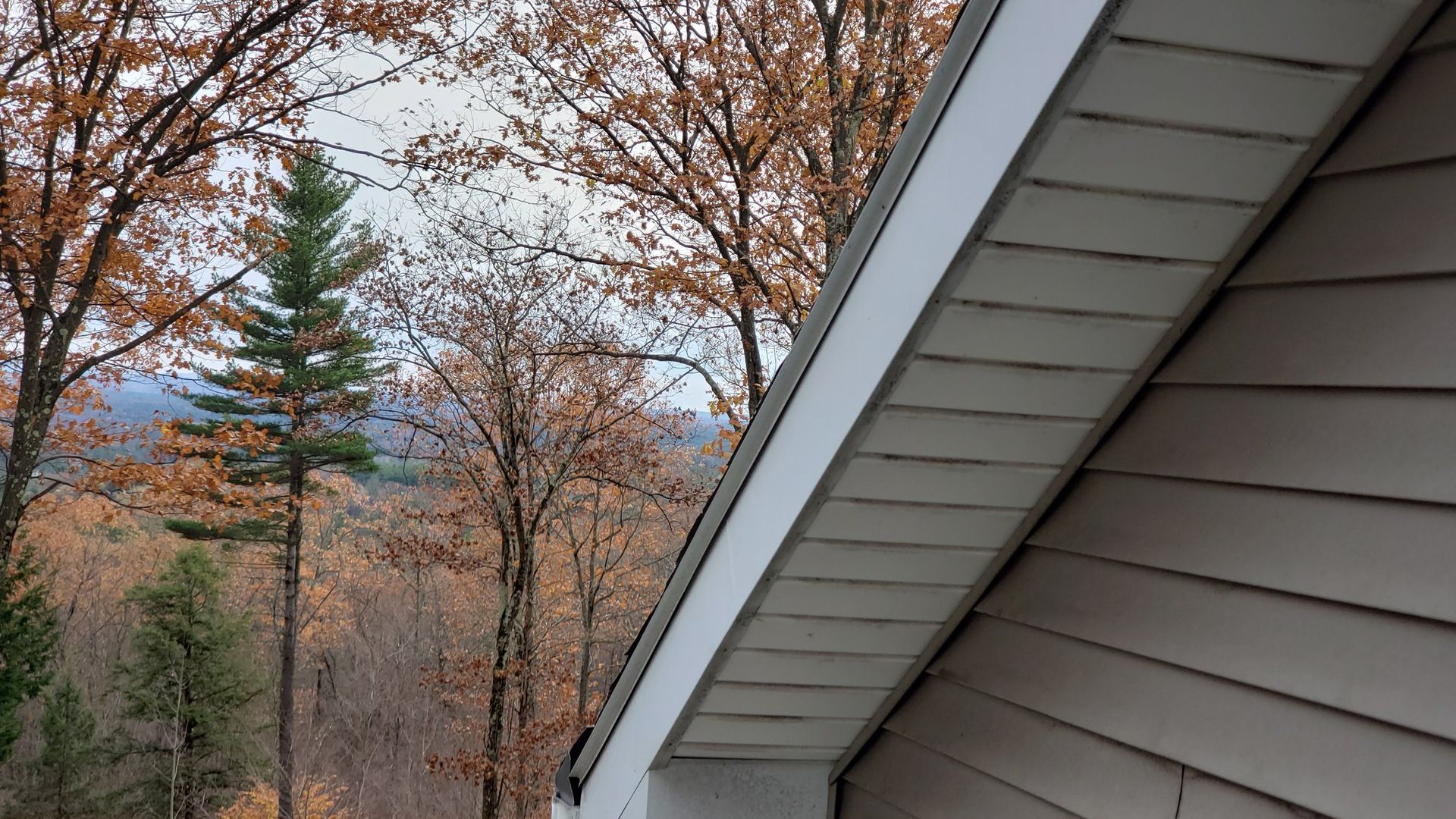 Close-up of a roofline with siding in a forest setting. Autumn trees, white trim, and cloudy sky.