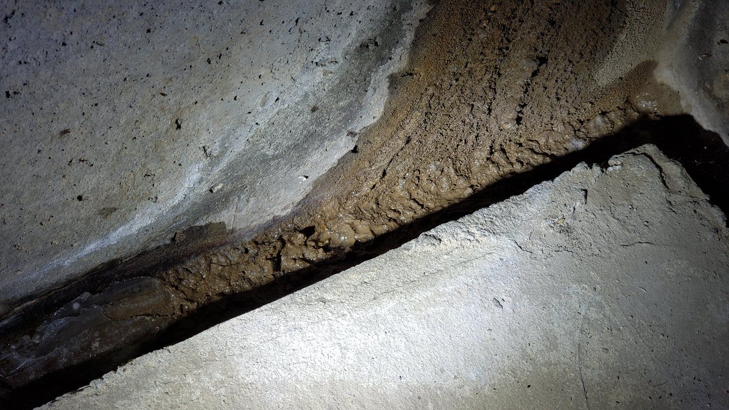 Brown, moist earth in a concrete crevice, possibly indicating water damage or ground contact.