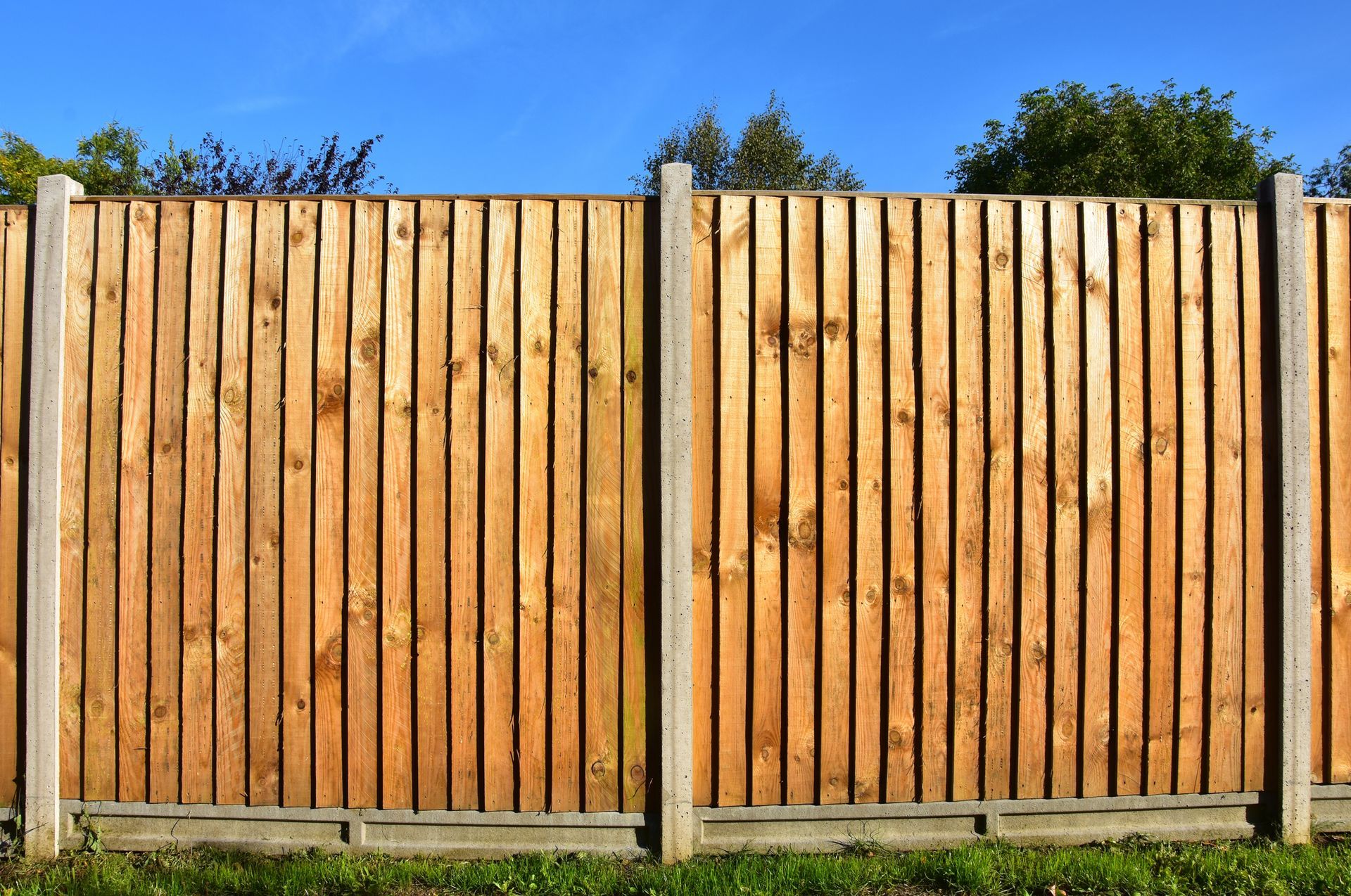 Wooden garden fence with concrete posts, green lawn, trees, and blue sky in backyard setting.