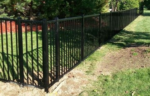 Black metal fence along a grassy yard.