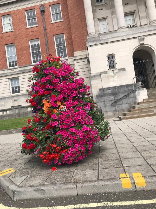 Plant nursery in Chesterfield Low Road Nursery