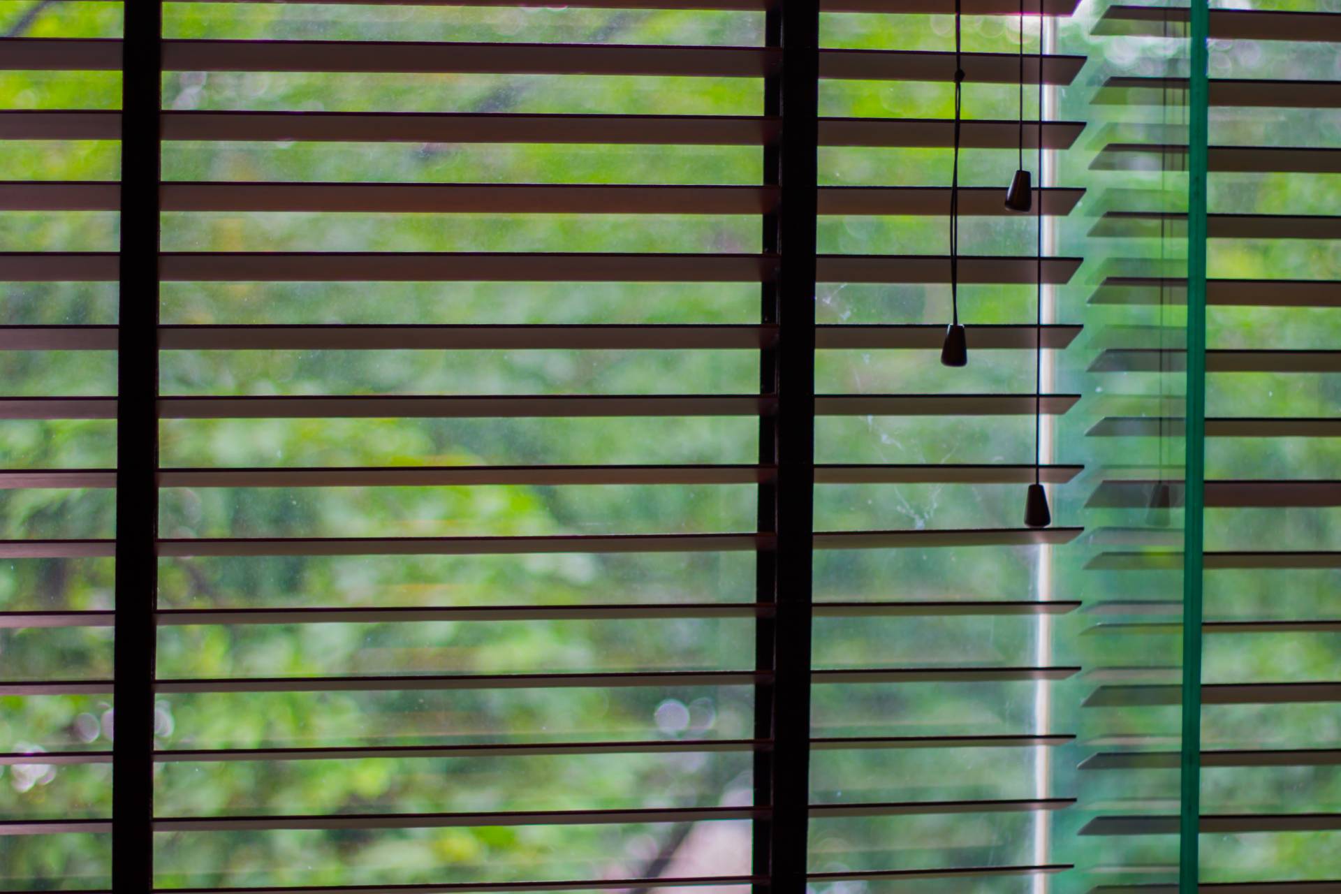 finestra con zanzariera