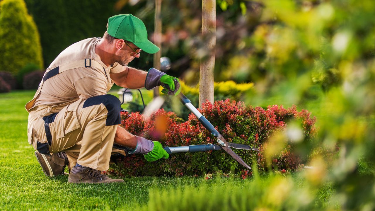 Can I Receive Workers' Compensation For My Landscaping Injury?