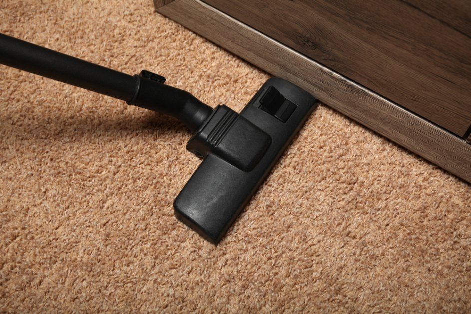 Vacuum Cleaner Head Cleaning a Tan Carpet — Glittering Cleaning Service in Burdell, QLD