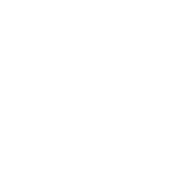 Icona di un cancello